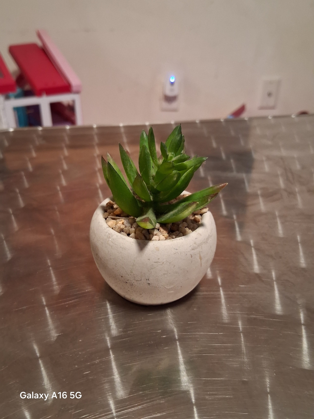 Mini Succulent Planter in White - Small Decorative Home Accent
